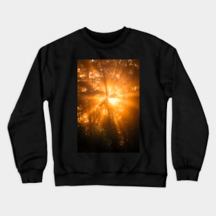 Sunbeam in the Forest Crewneck Sweatshirt